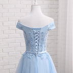Long Blue Bridesmaid Sisters Dress One-shoulder Evening Dress
